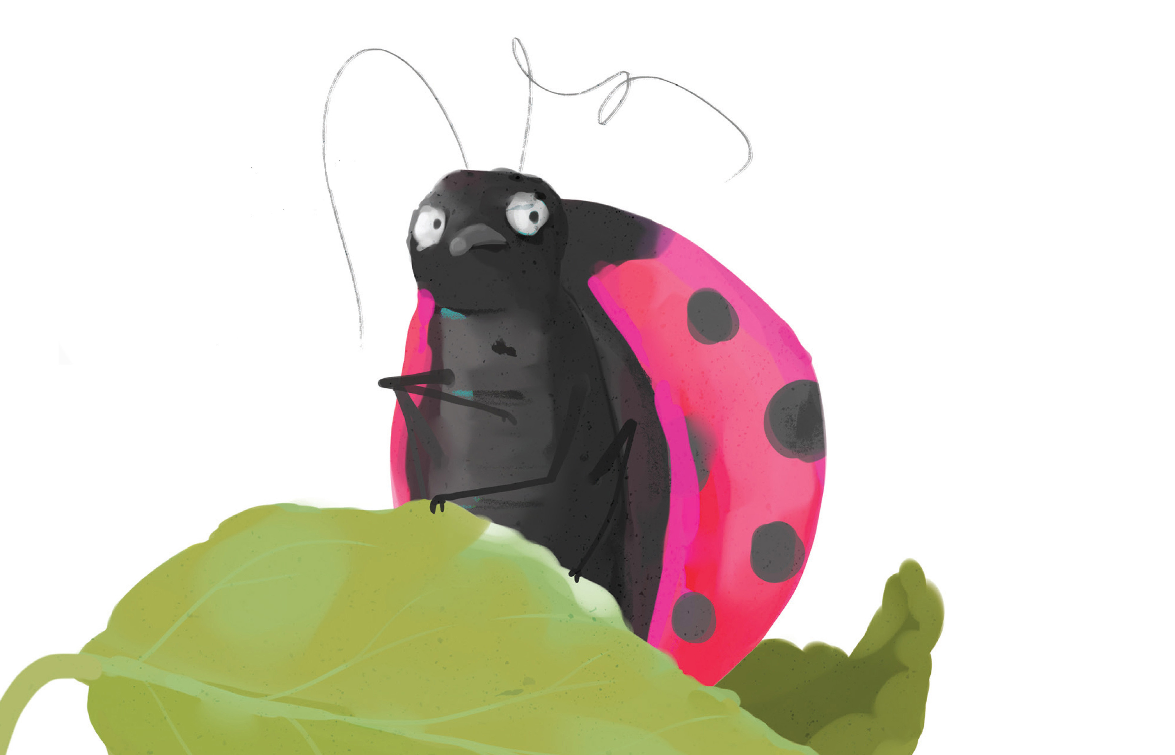 LadyBug_Andy Geppert.PNG