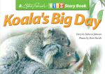 Koala's Big Day