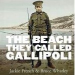 The Beach They Called Galipoli