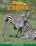 Ziggy the Zebra