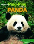 Ping-Ping the Panda