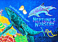 Neptune's Nursery