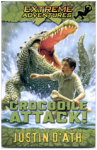 Crocodile Attack